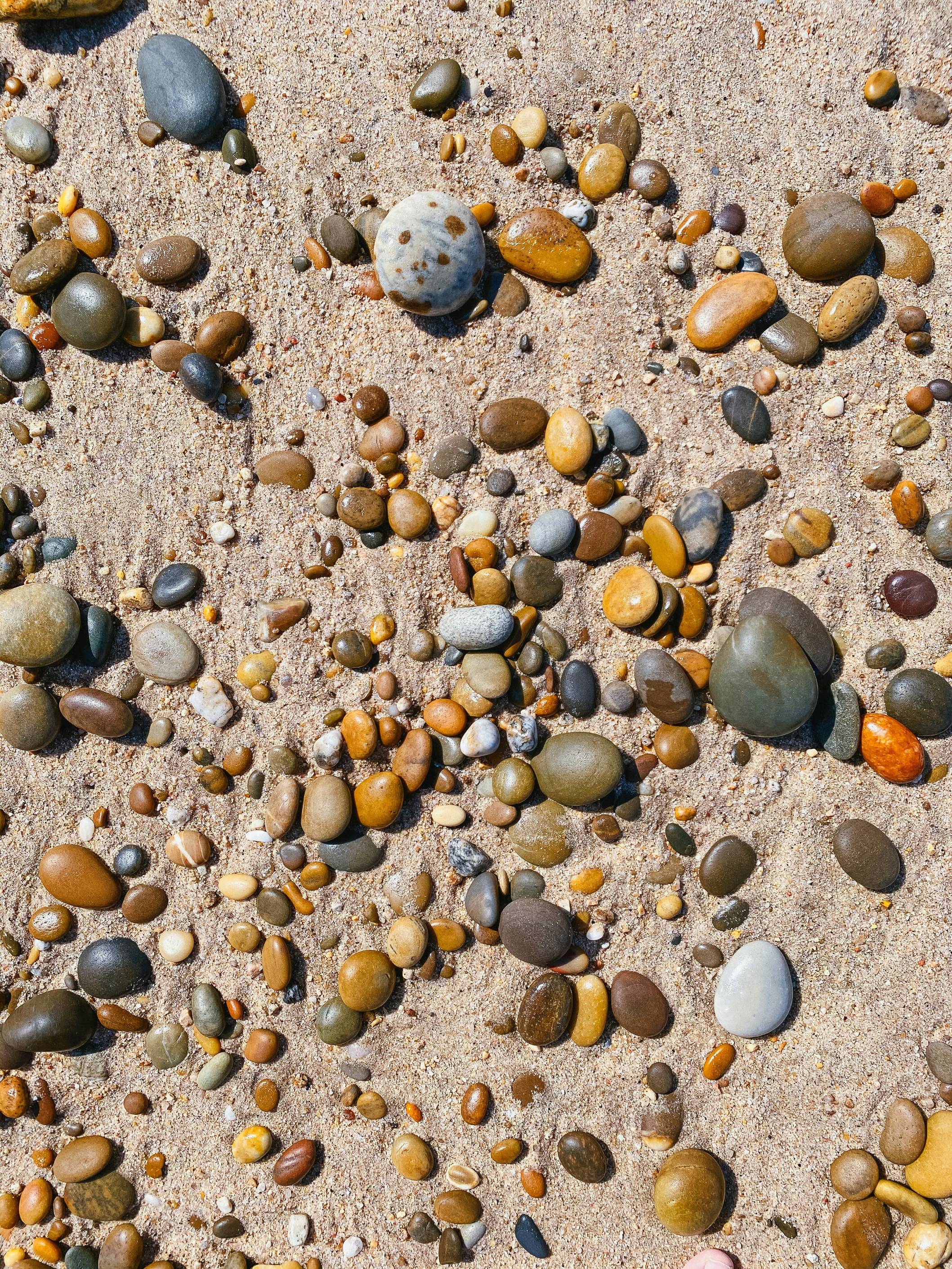 gray and brown pebbles on gray sand