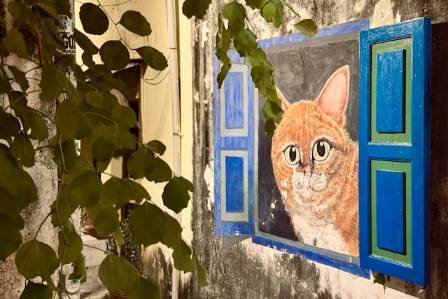 Draw A Realistic Cat Step by Step