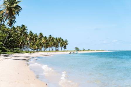 Greater Fort Lauderdale Beaches