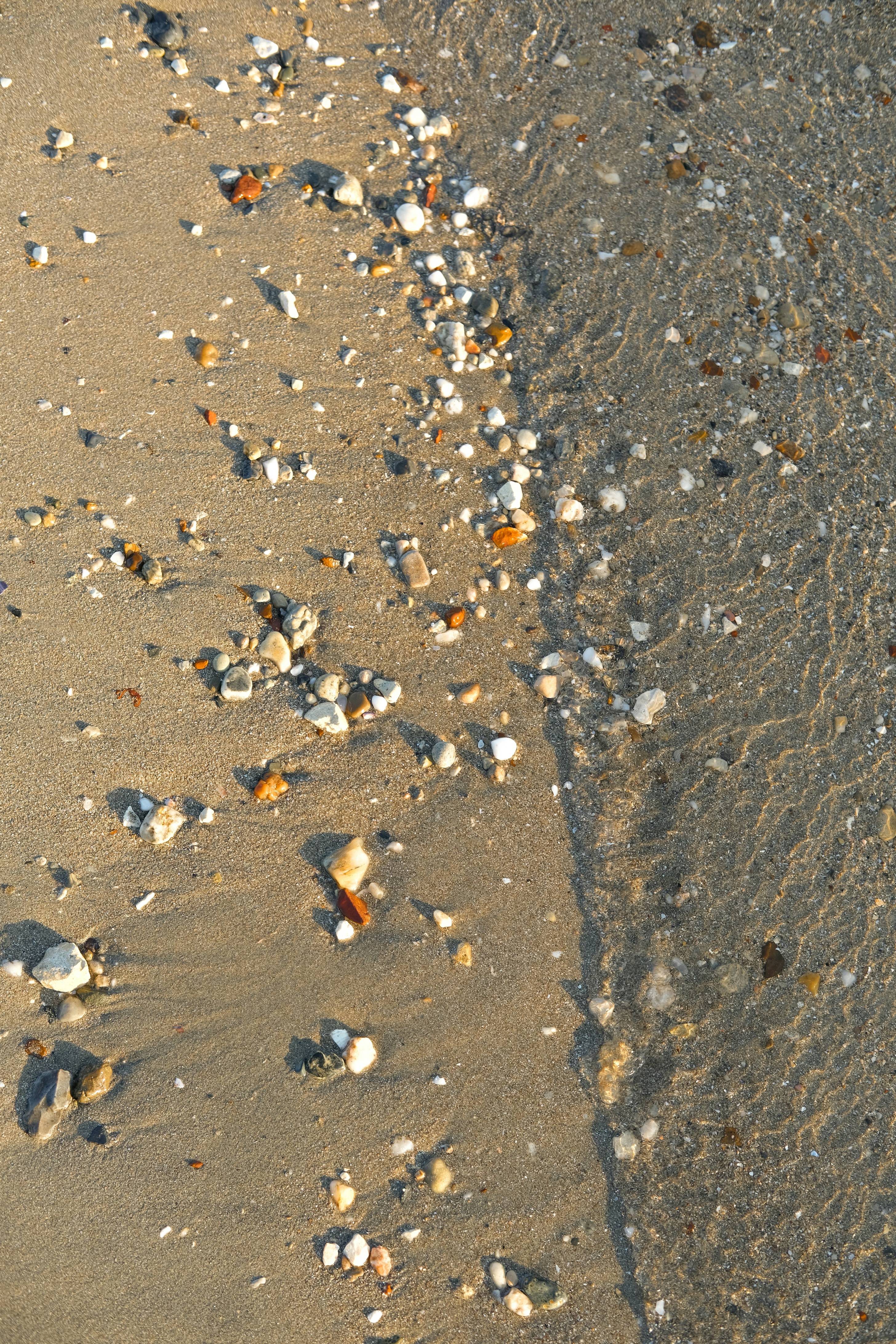 a large group of seagulls on a beach