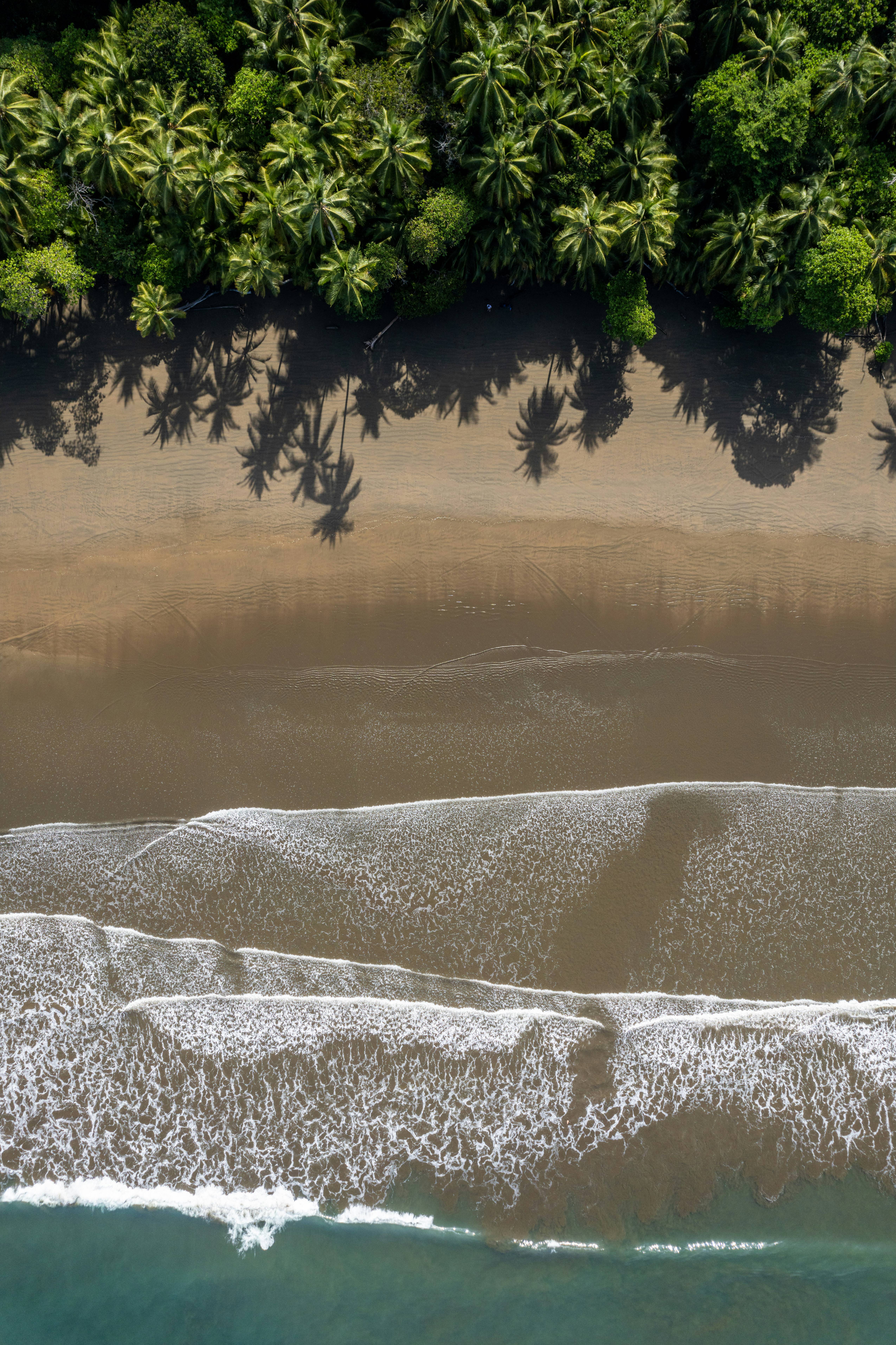 An aerial view of a sandy beach with palm trees