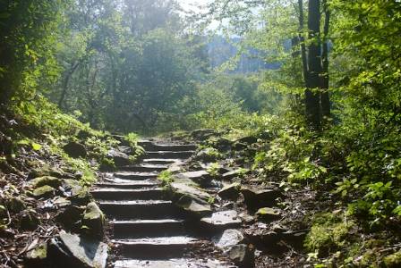 6 Easy Ways to Find the Best Hiking Trails Near You Fast