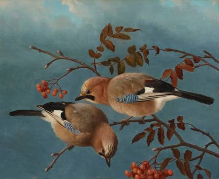 10 Most Famous Bird Paintings