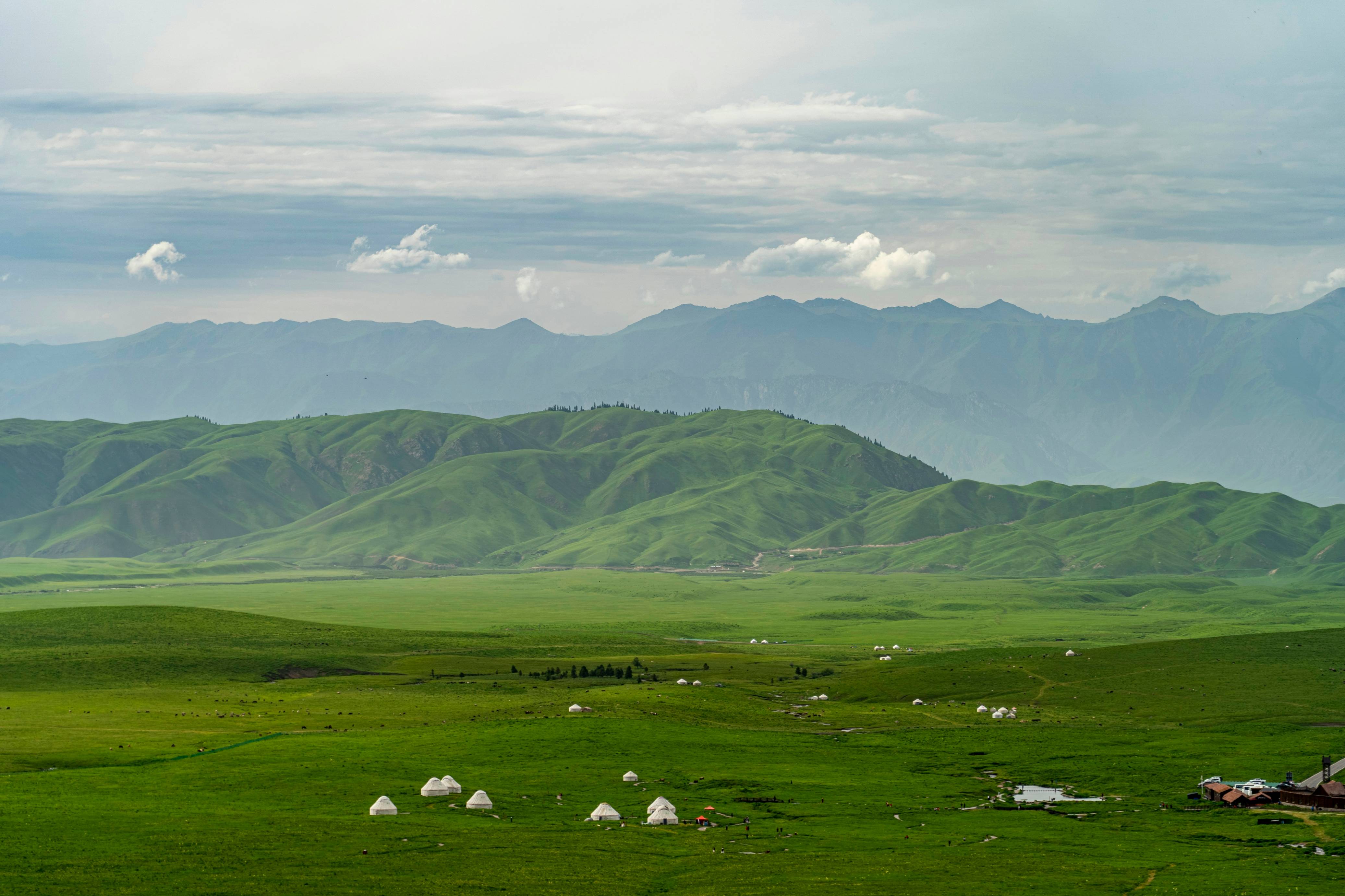 A green field with mountains in the background